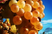 Leopoldplatz - Wedding markt