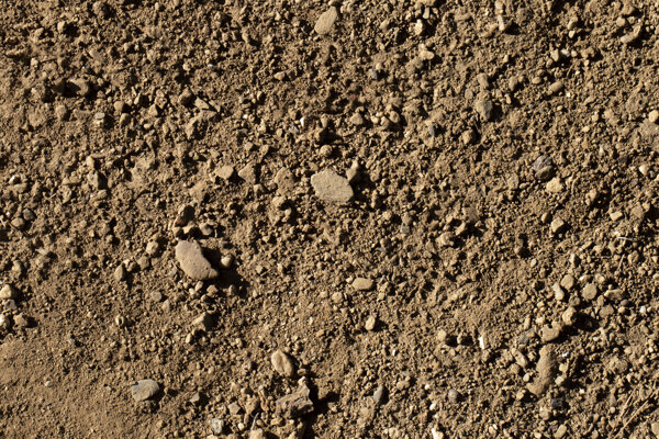 close-up-ground-texture-detail.jpeg