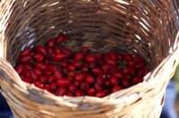 Wochenmarkt / Farmers MarketBoxhagener Platz