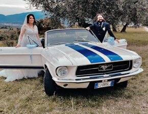 whatsapp%20image%202023-12-20%20at%2014.50.14.jpeg whatsapp%20image%202023-12-20%20at%2014.50.14.jpeg