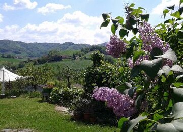 Casa Vacanze Salsomaggiore Terme