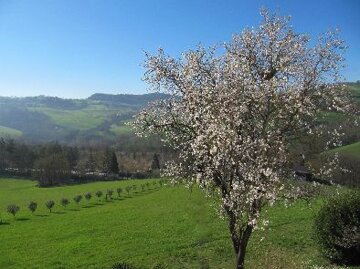 Casa Vacanze Salsomaggiore Terme
