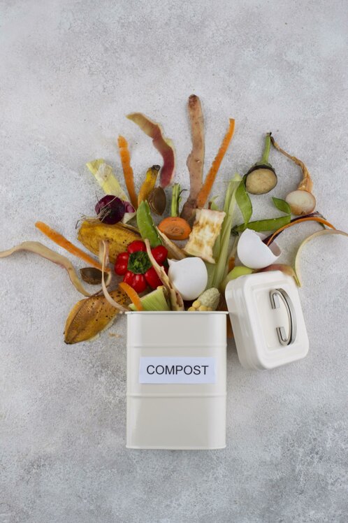 assortment-compost-made-rotten-food.jpeg