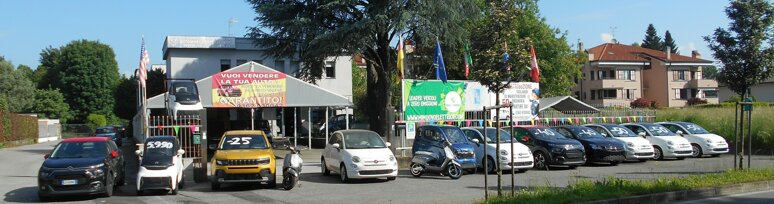 Vendita auto albiate