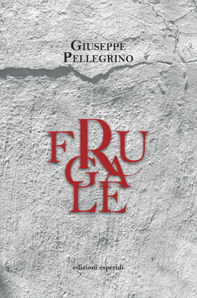 copertina pellegrino sito.jpeg