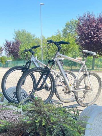 immagine whatsapp 2025-06-19 ore 14.10.40_c875a334.jpeg immagine whatsapp 2025-06-19 ore 14.10.40_c875a334.jpeg