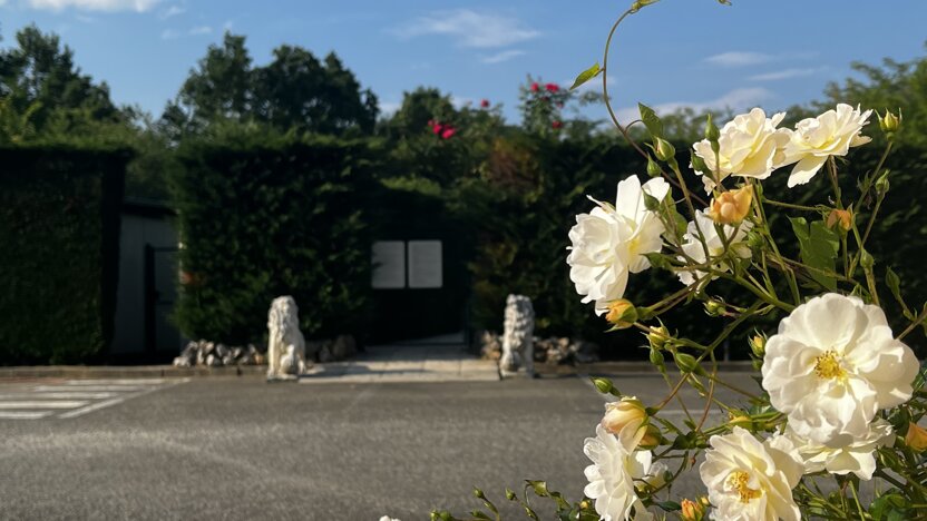 spazi comuni - entrata piscina.jpeg