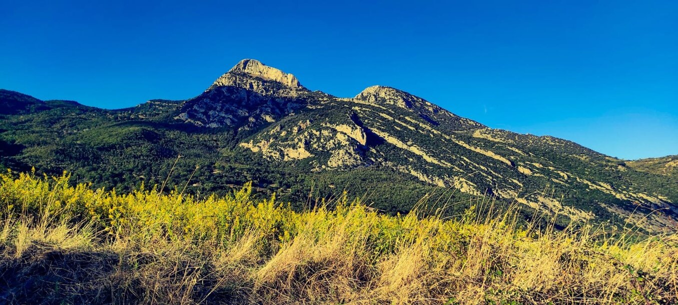 whatsapp image 2025-05-10 at 19.21.22 (5).jpeg