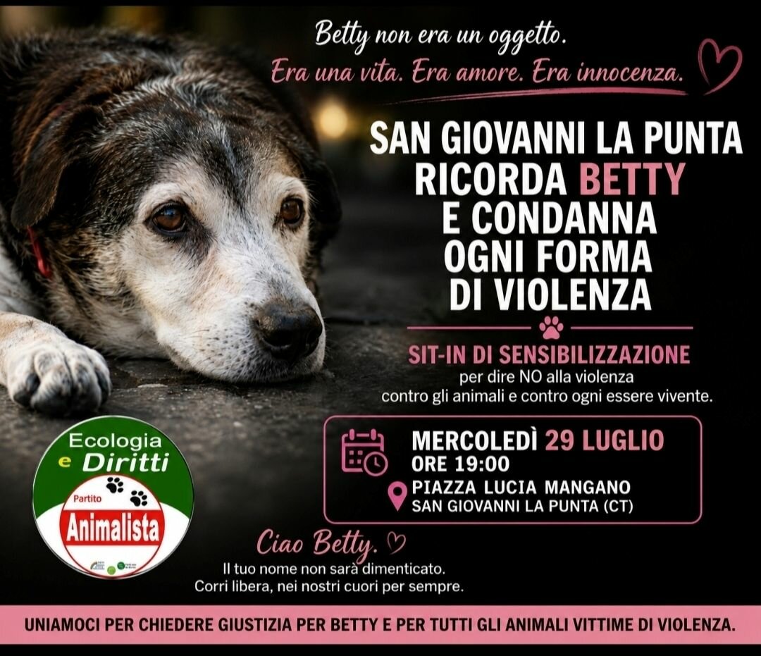 San Giovanni La Punta: sit-in per la cagnolina uccisa San Giovanni La Punta: sit-in per la cagnolina uccisa