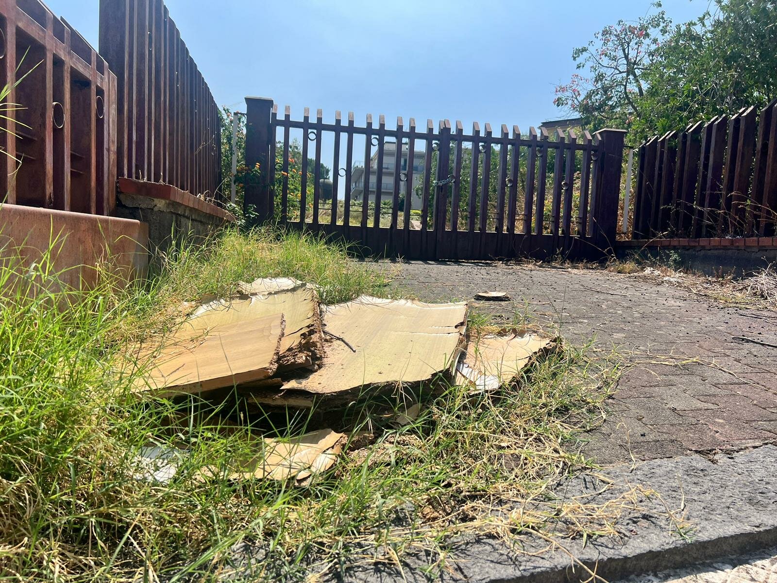 e4f62f45-c84b-44e4-9d89-bb5275de9e24.jpg