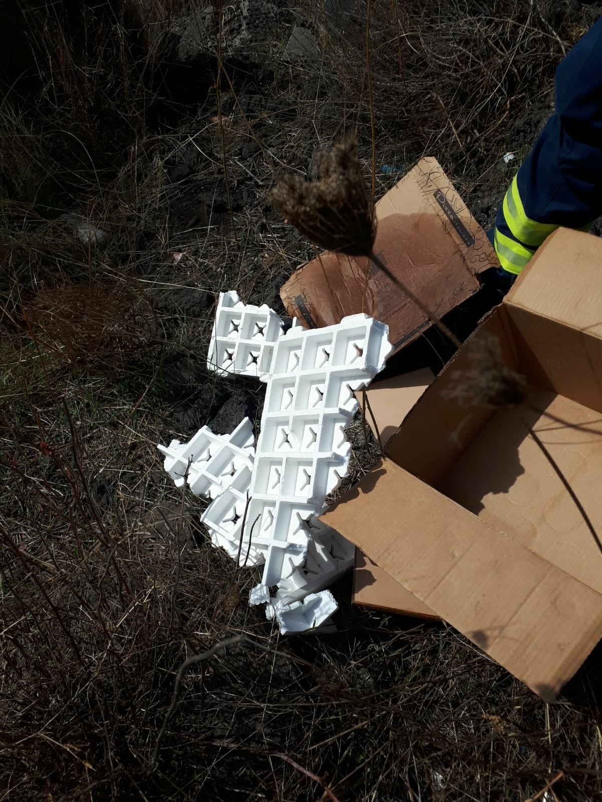 006-10.jpg 006-10.jpg