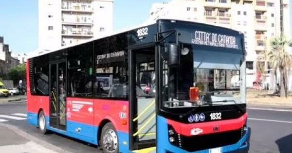 Lite sulla precedenza, autista Amts schiaffeggiato