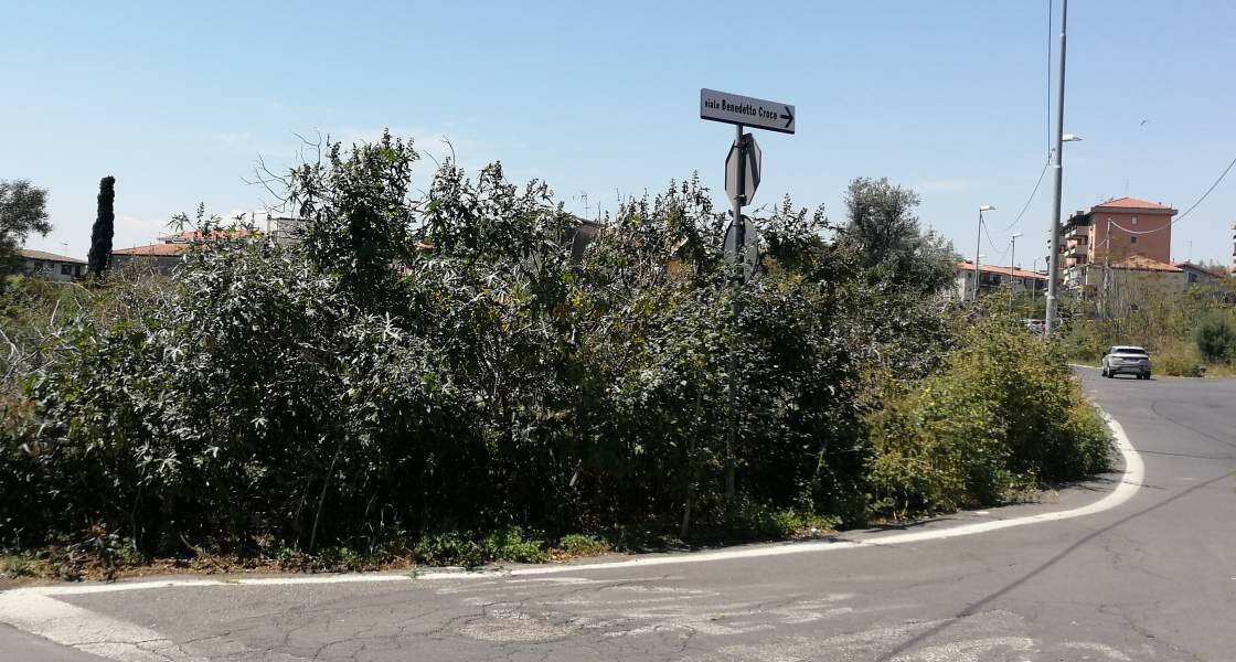 Incendi, troppi pericoli nel IV Municipio