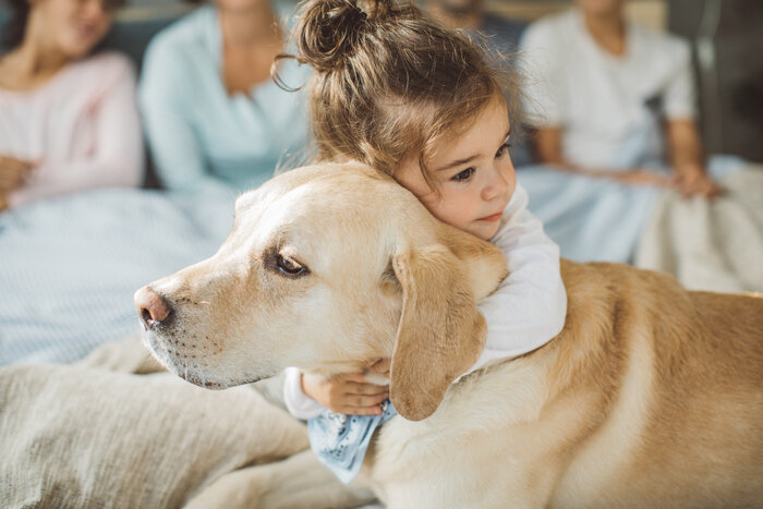 Il 26 agosto &egrave; la giornata del cane, ecco perch&eacute;