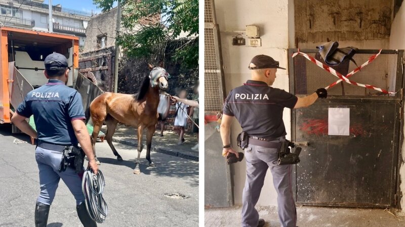 Stalle abusive a San Cristoforo: tre denunce