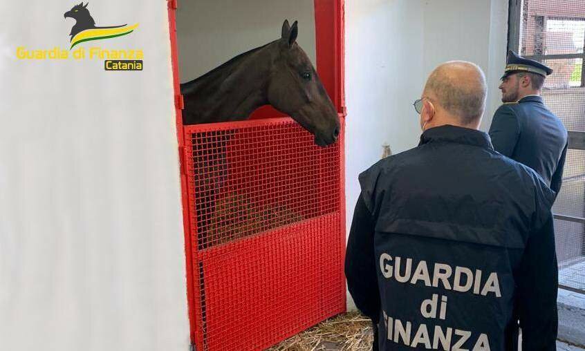 Evasione fiscale, sequestro milionario nel Catanese Evasione fiscale, sequestro milionario nel Catanese