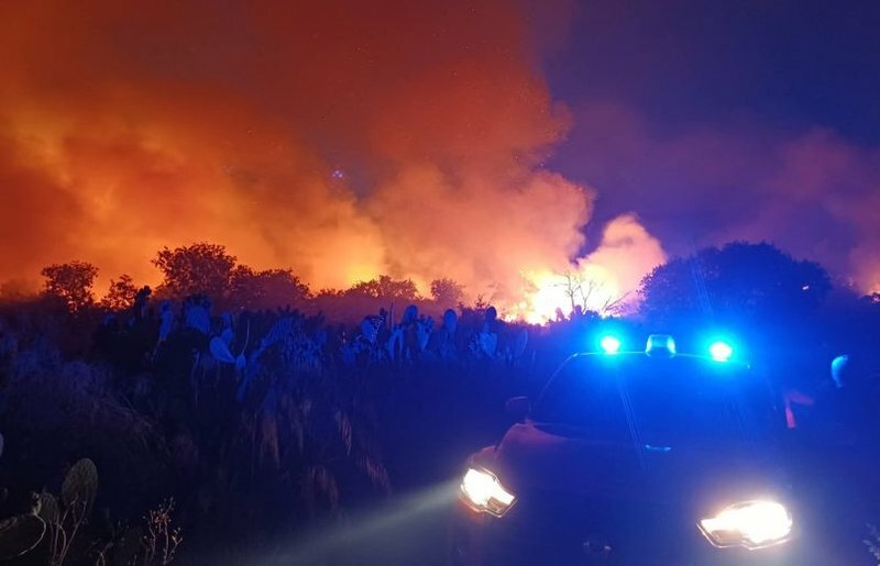 Incendi, la Sicilia dichiara lo stato di emergenza Incendi, la Sicilia dichiara lo stato di emergenza