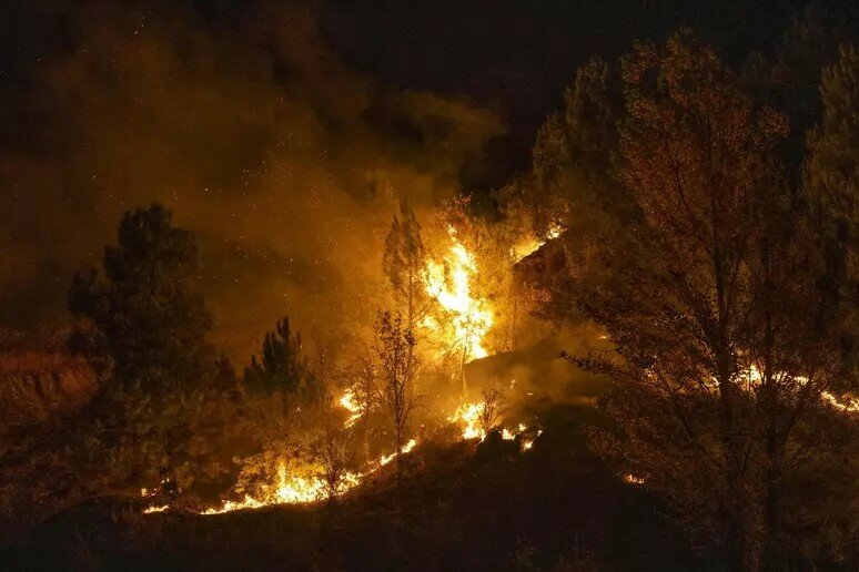 Incendio boschivo in Spagna: decine di morti e feriti