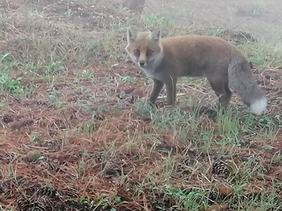 002-14.jpg
