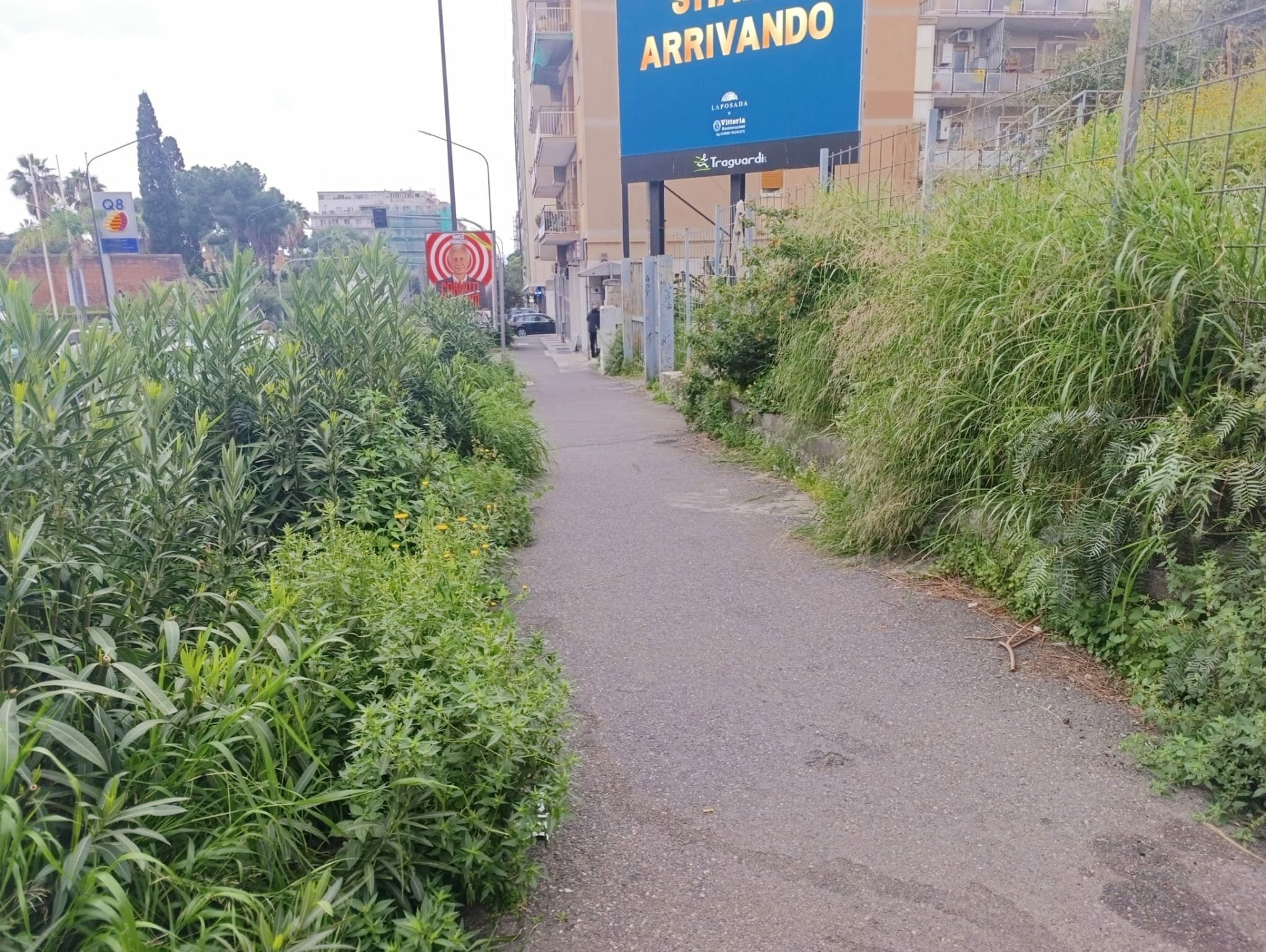 marciapidi-viale-vittorio-veneto-maria-spampinato-2.jpeg