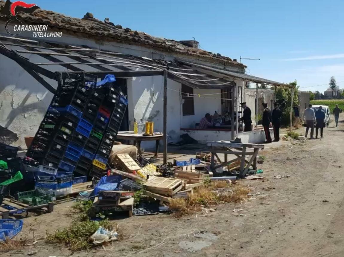 Sfruttati nella raccolta delle arance: un euro a cassetta
