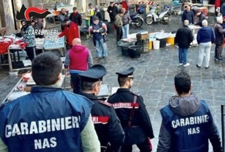 Polpa di ricci nei bicchieri di plastica, sequestrato un quintale di pesce