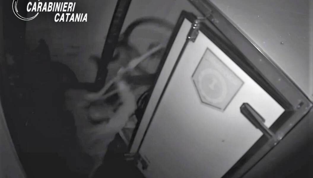 Spaccata e furto di bici di lusso: portato in carcere