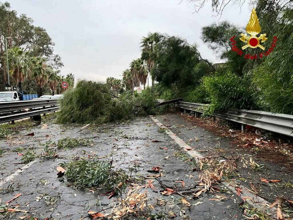 Catania: un'ora da incubo