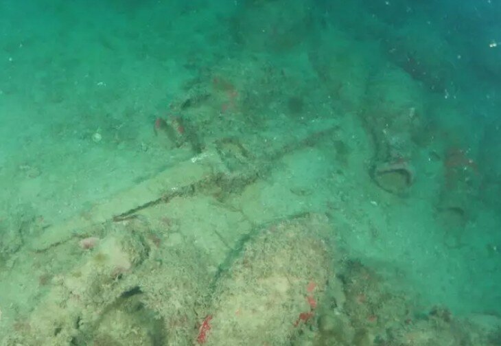 Relitto romano al largo della Sicilia: 'Tra le più grosse scoperte recenti' Relitto romano al largo della Sicilia: 'Tra le più grosse scoperte recenti'
