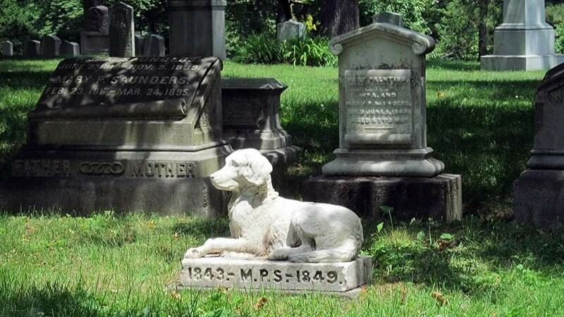Anche in Sicilia cimiteri per animali domestici