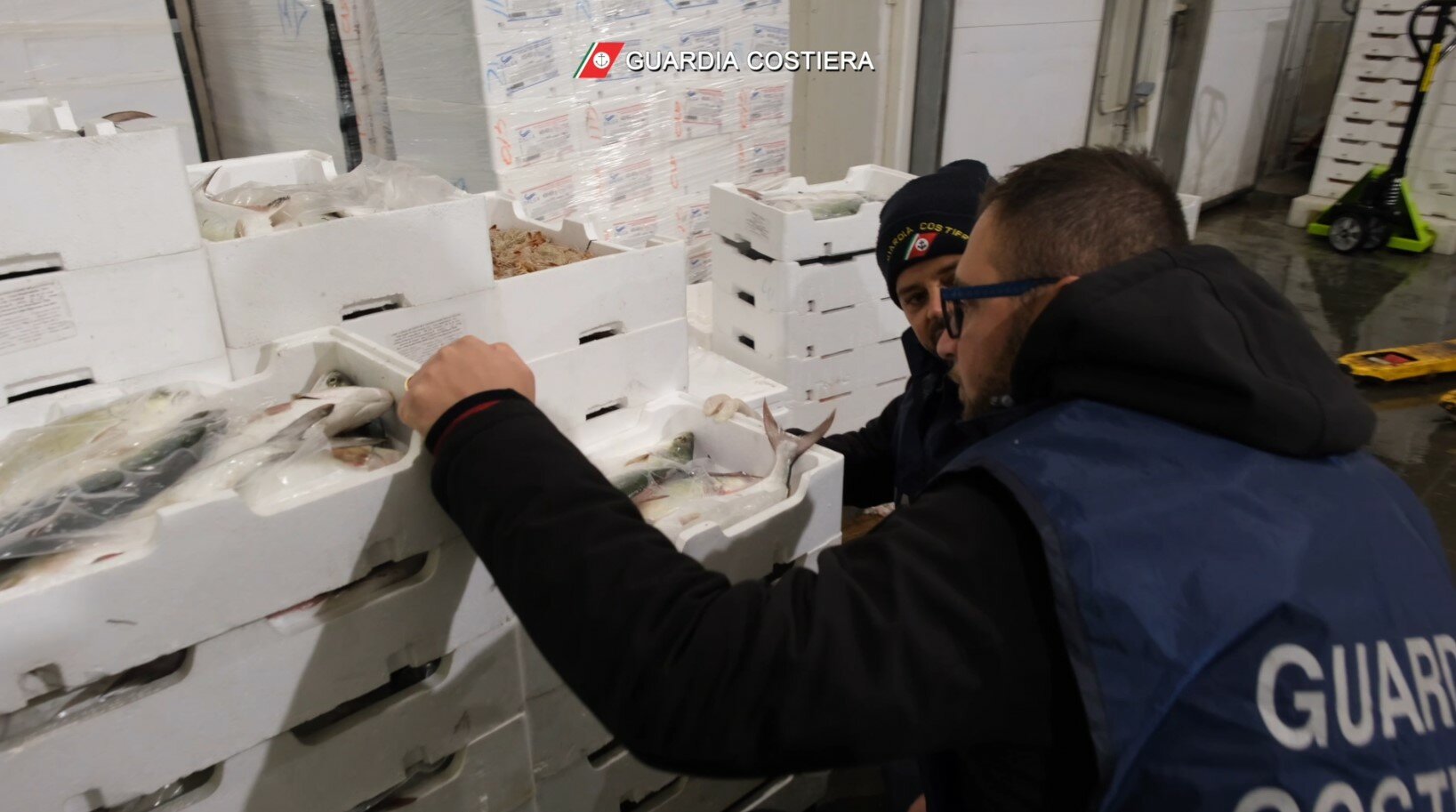 Pubblicizza il pesce su Tik Tok ma &egrave; abusivo