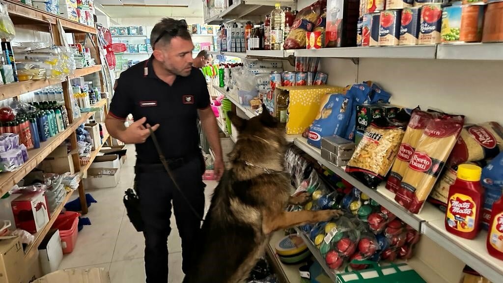 Cocaina e hashish tra gli scaffali del minimarket Cocaina e hashish tra gli scaffali del minimarket