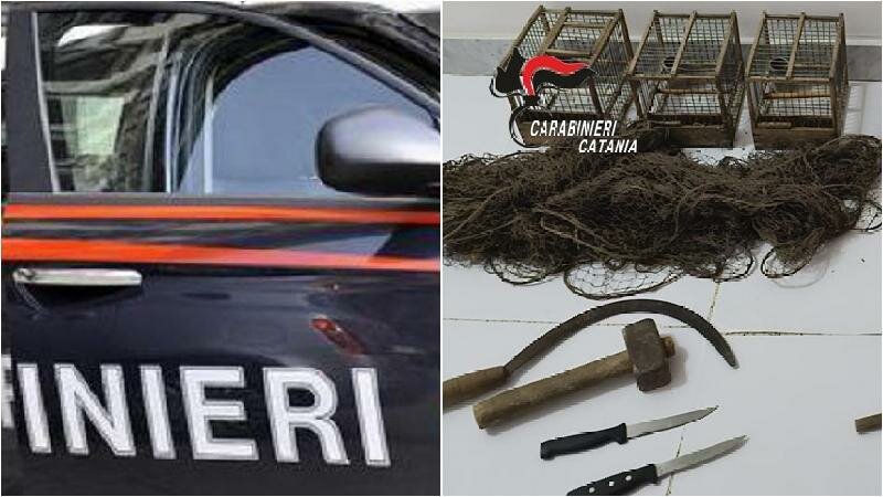 Nell'auto 5 cardellini di specie protetta