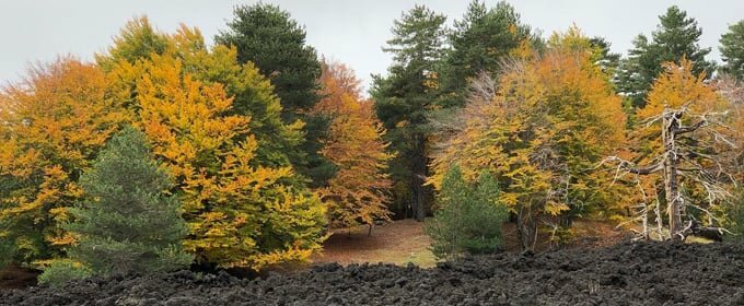 L'estate &egrave; finita
