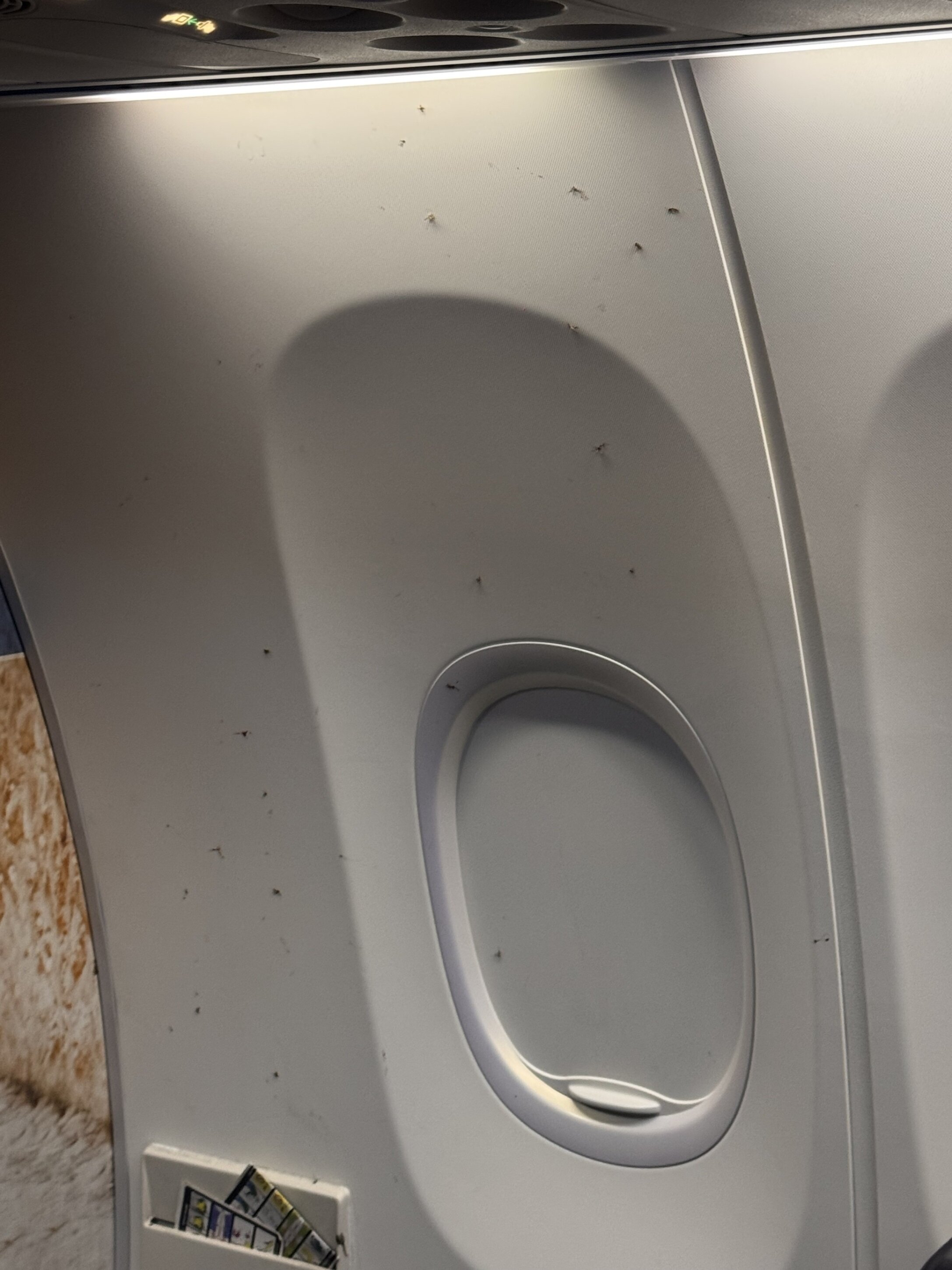 Zanzare invadono aereo, passeggeri costretti a scendere
