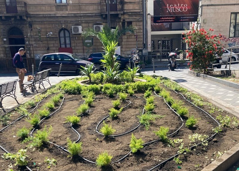 Piante 'riciclate' e fontane-fioriere nel largo Podgora Piante 'riciclate' e fontane-fioriere nel largo Podgora