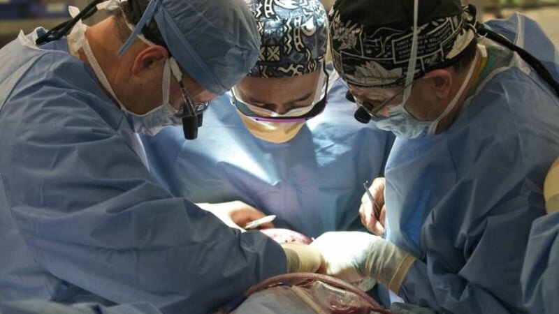 Maratona trapianti all'Ismett: 7 in 24 ore