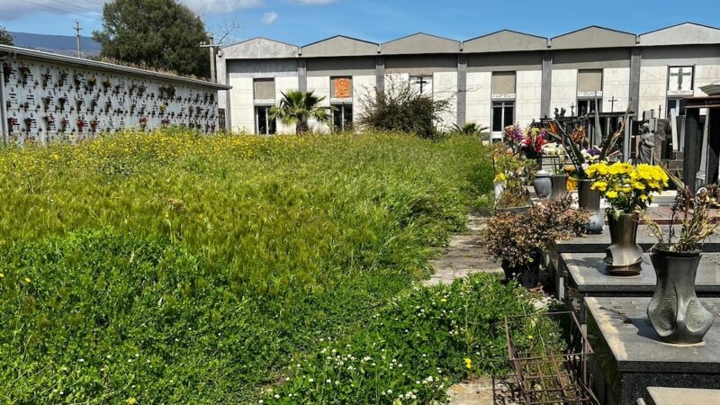 Al cimitero di Giarre lapidi coperte da sterpaglie