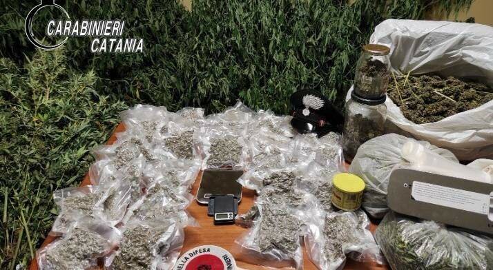 Insospettabile professionista tradito dall'odore di droga
