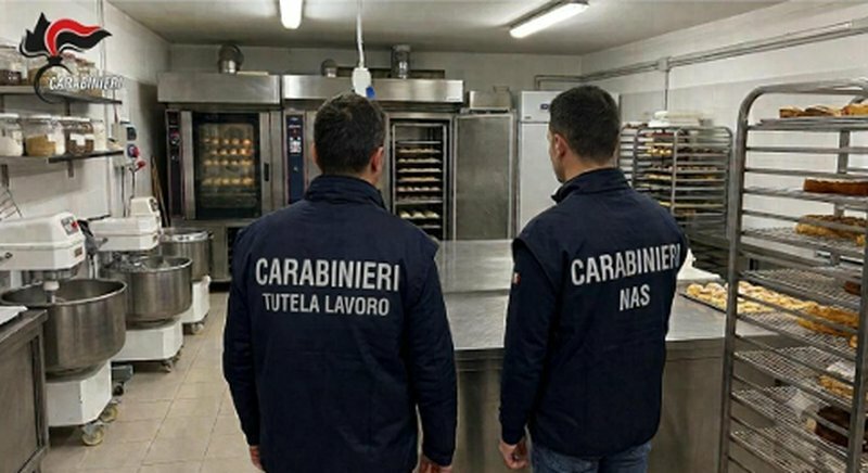 Blatte, ragni e muffa nel laboratorio pasticceria