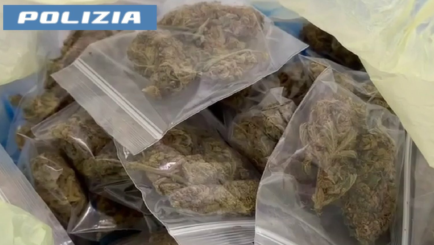 Marijuana ovunque nella casa di San Cristoforo