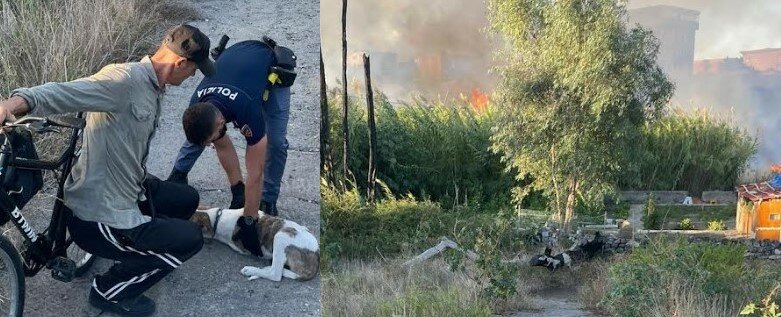 Fuori le fiamme, lui dorme col cane: salvati Fuori le fiamme, lui dorme col cane: salvati