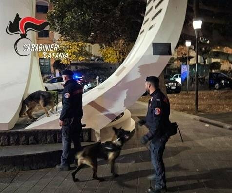 Fuochi d’artificio da 100 colpi per il compleanno Fuochi d’artificio da 100 colpi per il compleanno