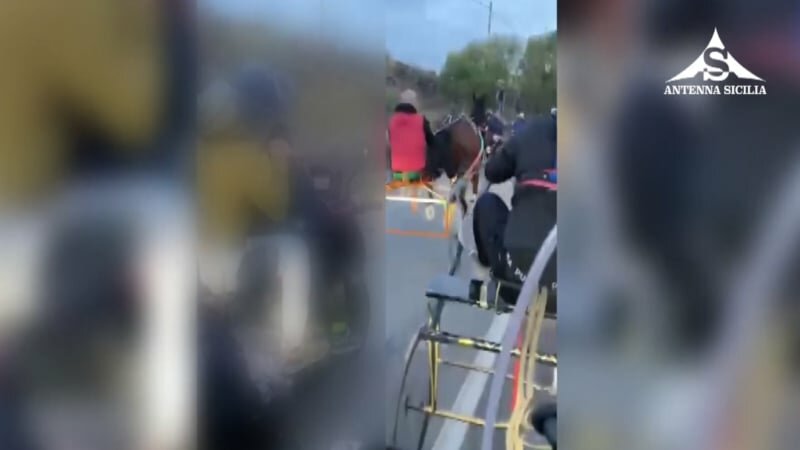 Gara di cavalli sull'Etna, scommesse da 120.000 euro