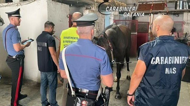 A caval dopato: blitz a San Cristoforo