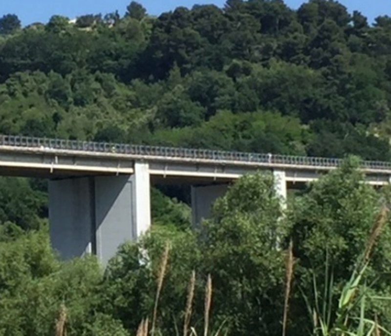 Vuole buttarsi dal ponte: afferrato per la cintura