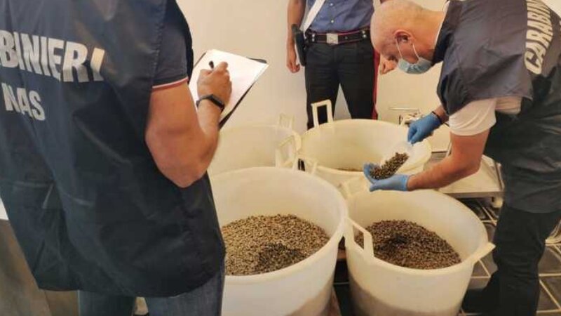 Sequestrate 13 tonnellate di capperi nelle Eolie