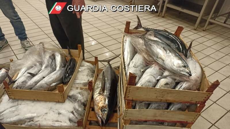 In pescheria mille chili di pesce da buttare