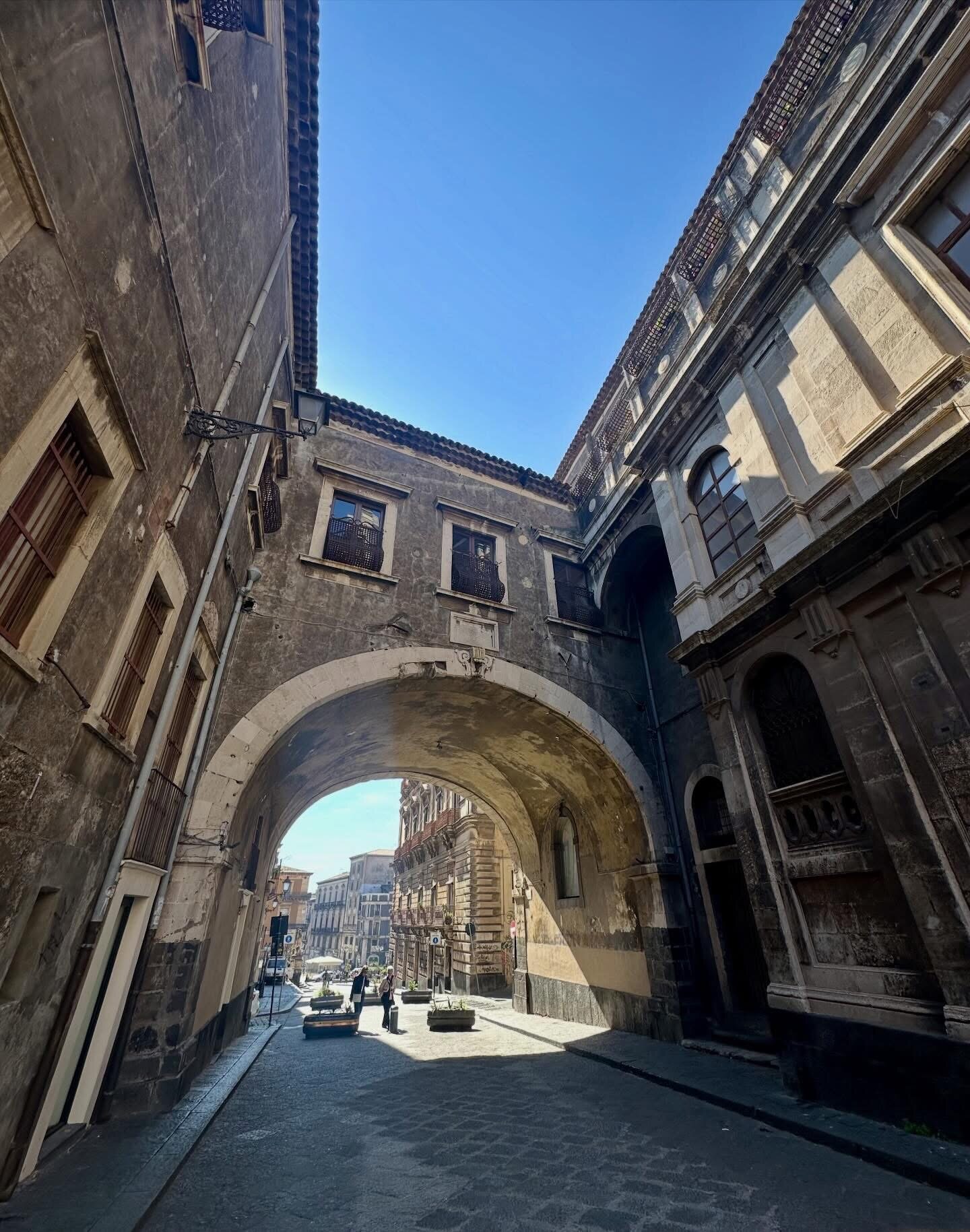 img_8816.jpeg img_8816.jpeg