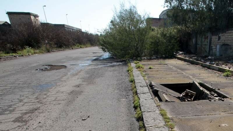 Giungla di erbacce alla zona industriale di Catania
